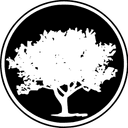 Owner of Avantgarde Flooring